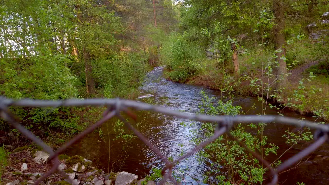 Watercourse in the forest in Hedmark county in Norway