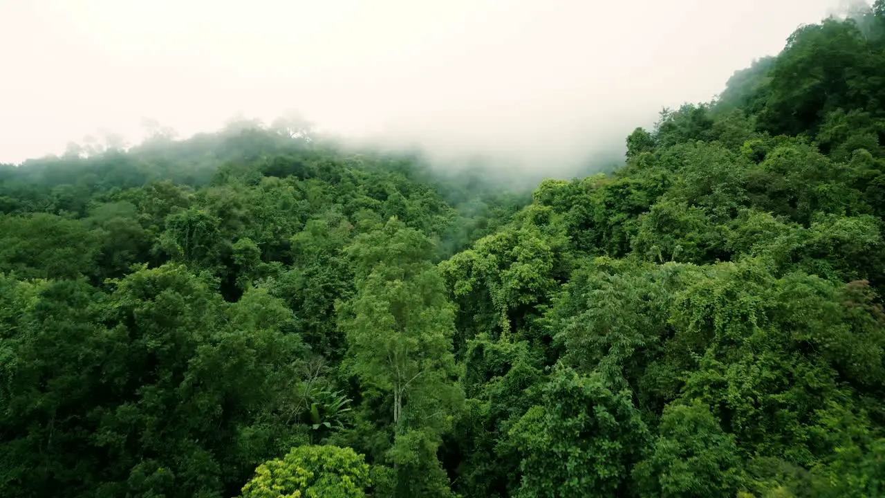 4K Cinematic nature aerial drone footage of the beautiful mountains and rice terraces of Ban Pa Pong Piang at Doi Ithanon next to Chiang Mai Thailand on a cloudy sunny day