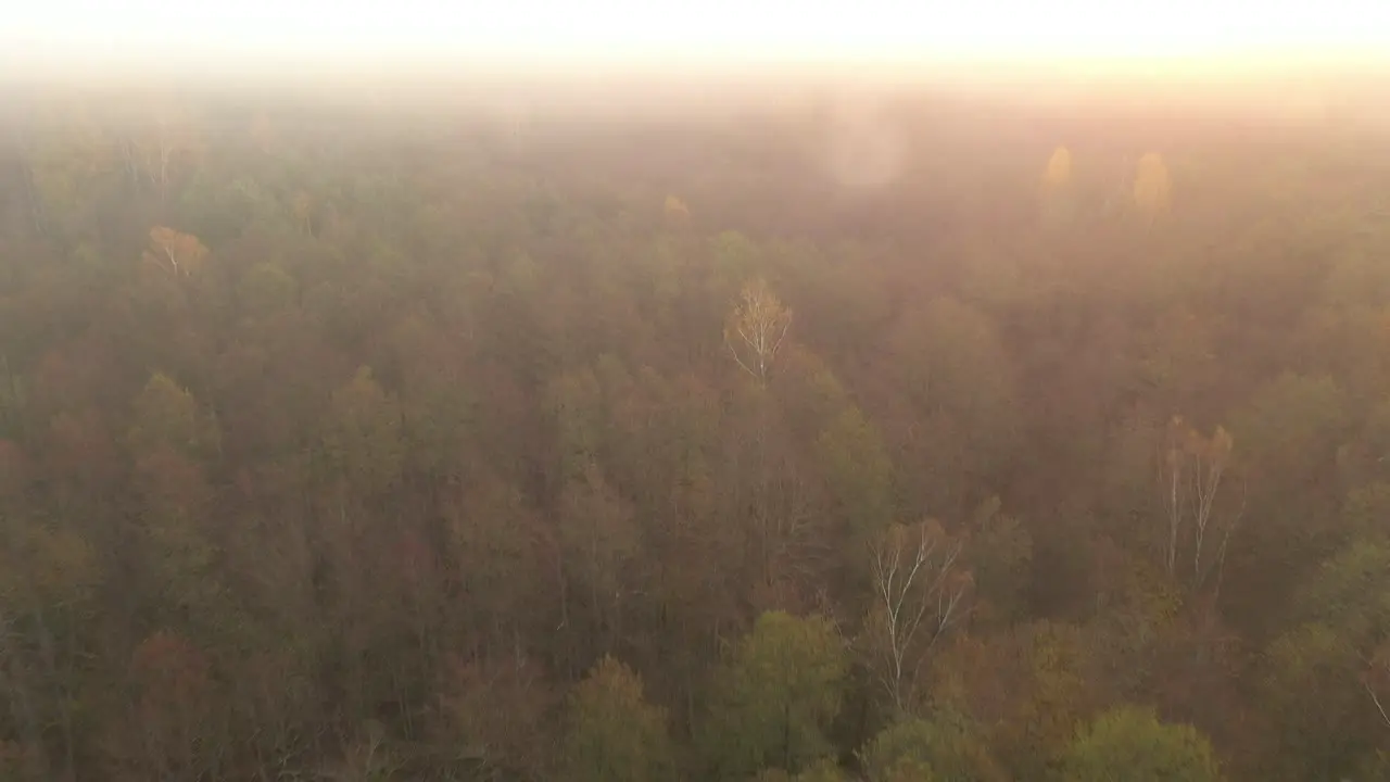 Cepkeliai reserve the largest area of untouched nature in Lithuania is a glorious wet wilderness of bogs black alder swamps Cladinoso-callunosa forest and lakes