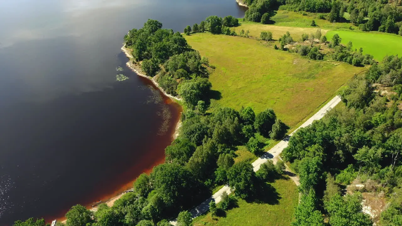 Aerial view drone fly over green meadows trees and lake coastline in peaceful scene