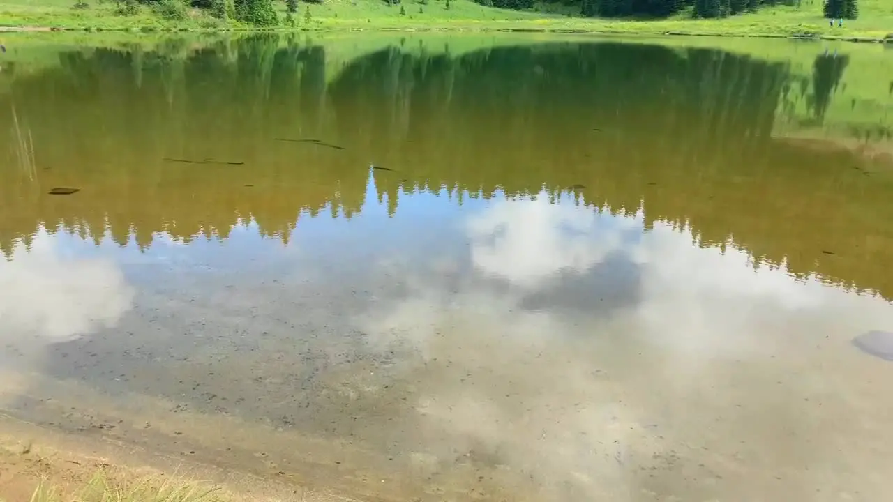 The sky reflecting off a shallow lake in the mountains