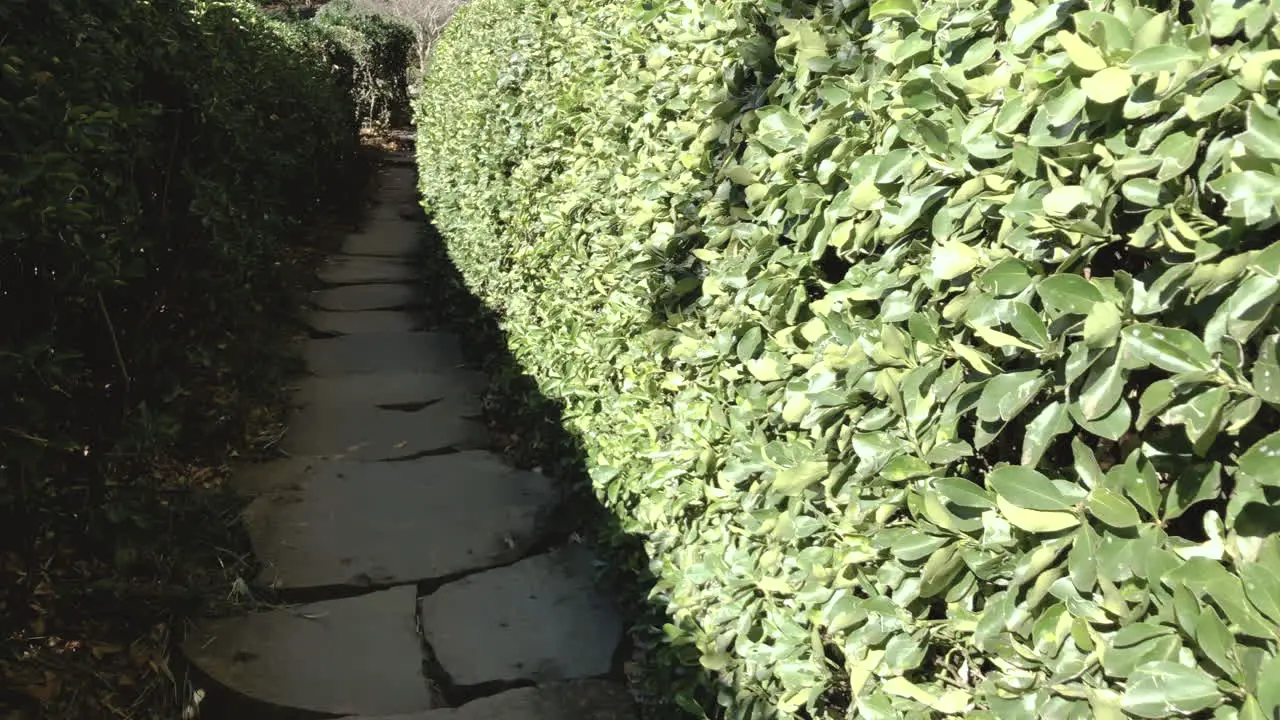 Slo-mo pov of stone path with surrounding green hedge foliage Ju Raku En Japanese Garden Toowoomba Australia