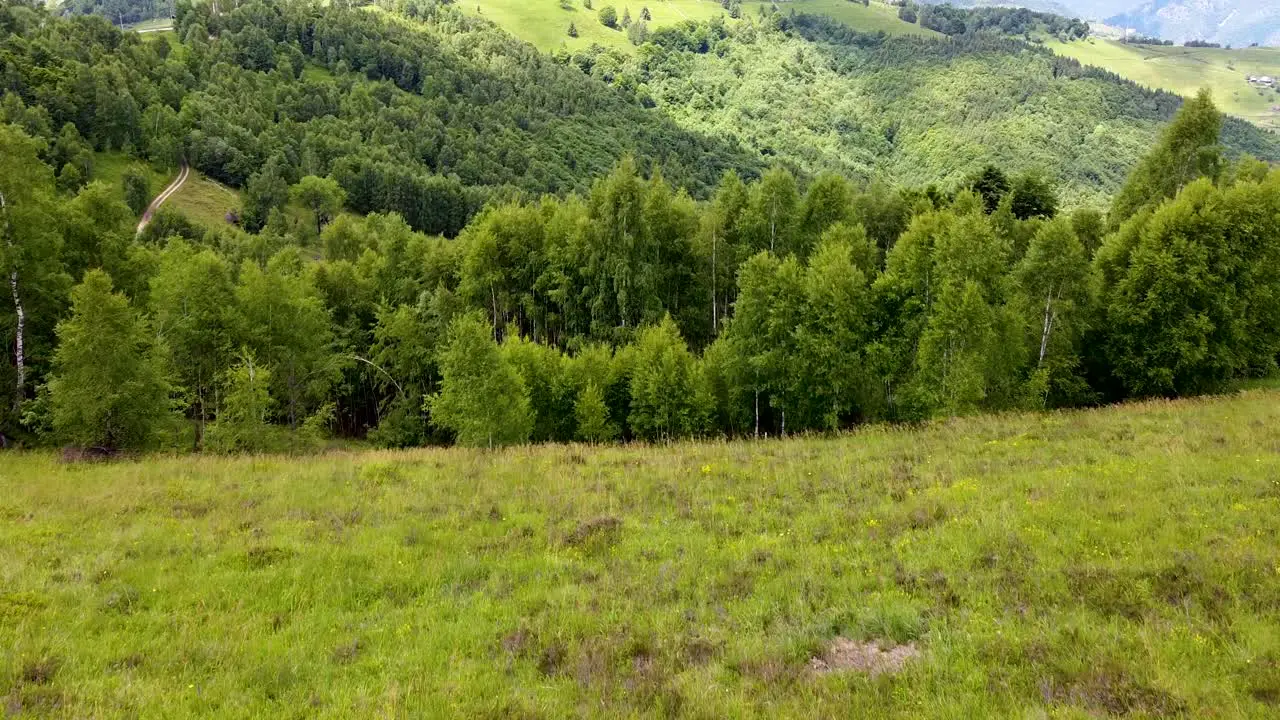 Flying the drone over the forest in the mountains