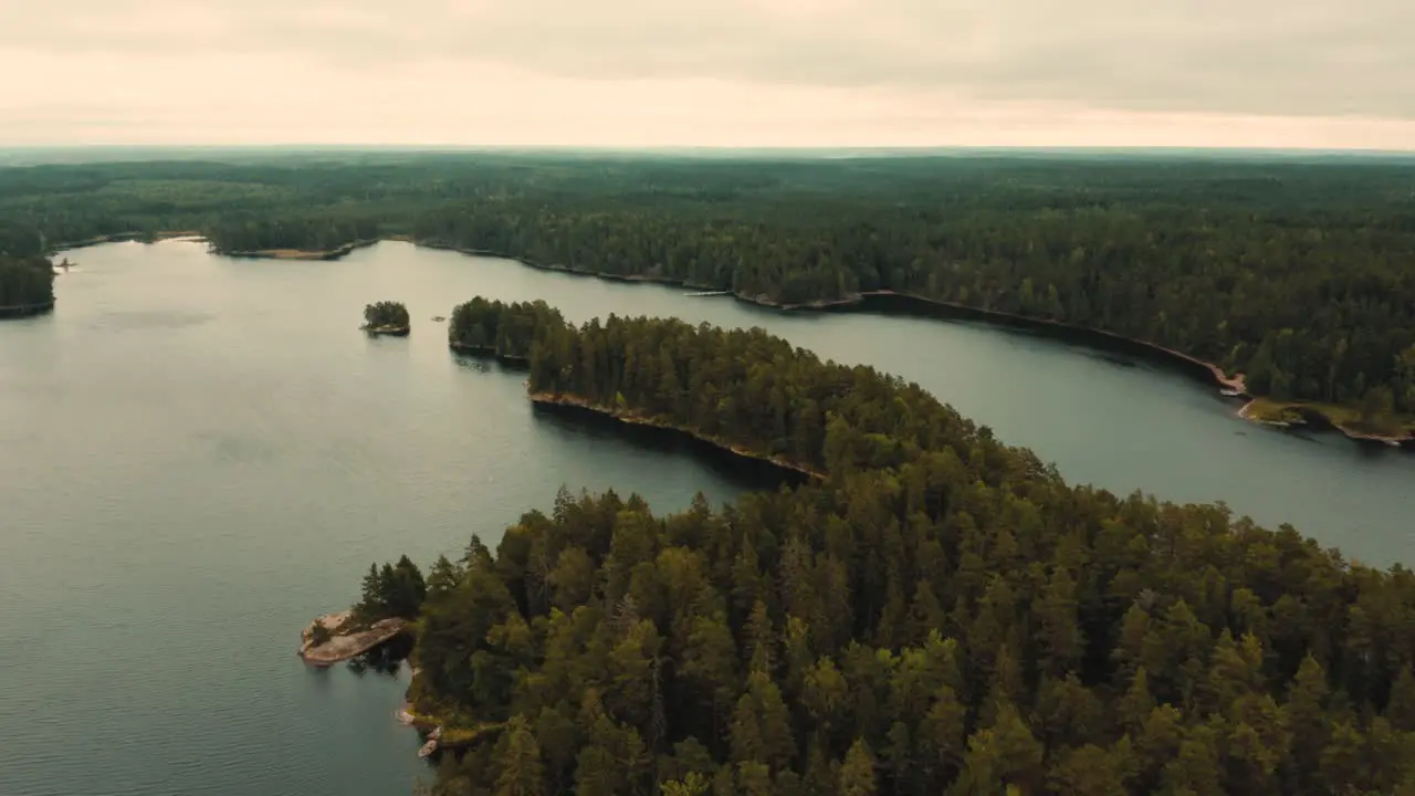 Drone above Finland River and Forest 4k