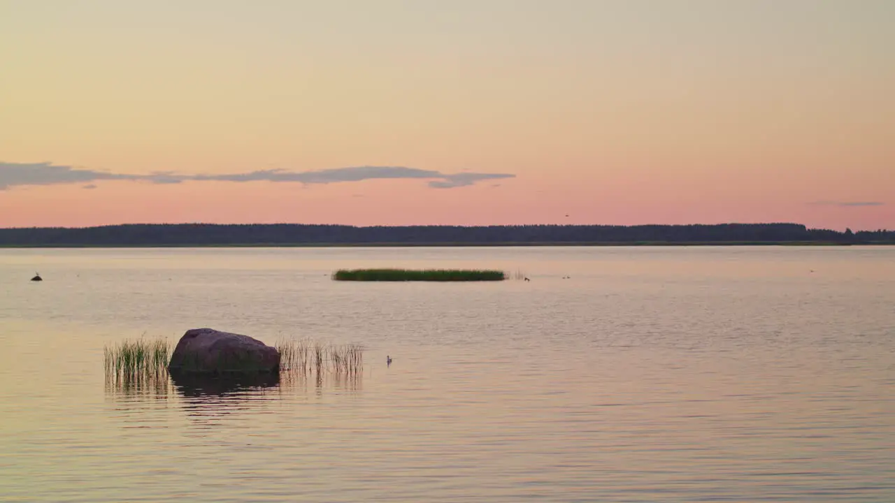 Tranquil waters in a nature reserve bathed in the soft pink afterglow of a summer evening