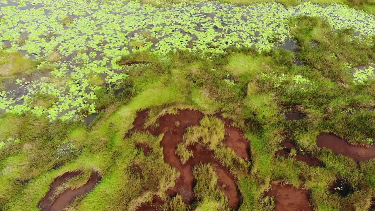 Pitch Bitumen Lake on the island of Trinidad and Tobago in the Caribbean shot on the DJI Mavic Air