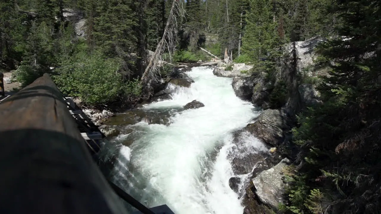 Waterfall flowing through the forest