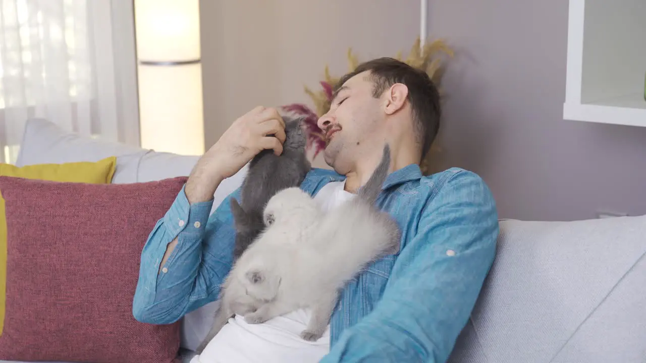 The man holds the kittens on his chest and loves to caress them