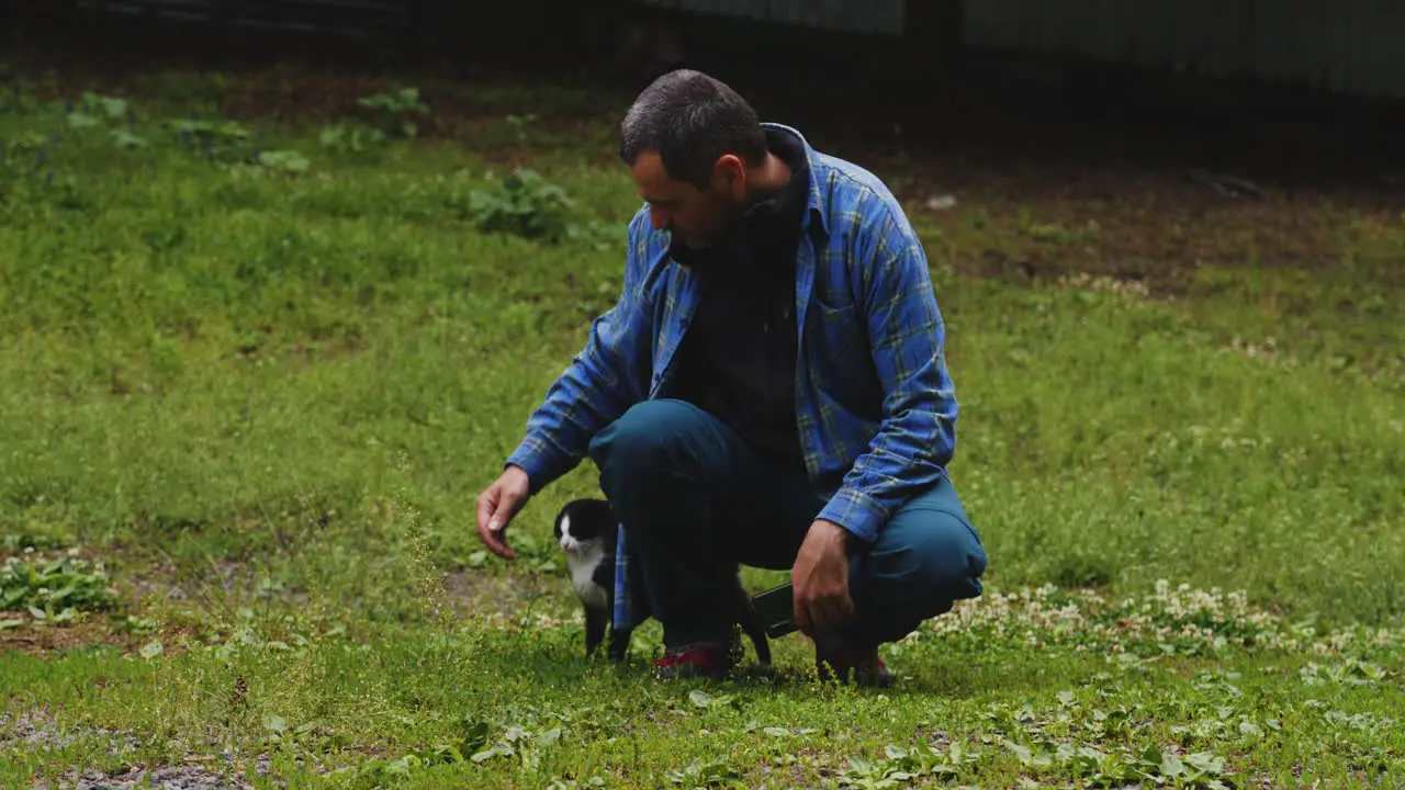 Middle aged man playing with black and white tabby cat in garden grass