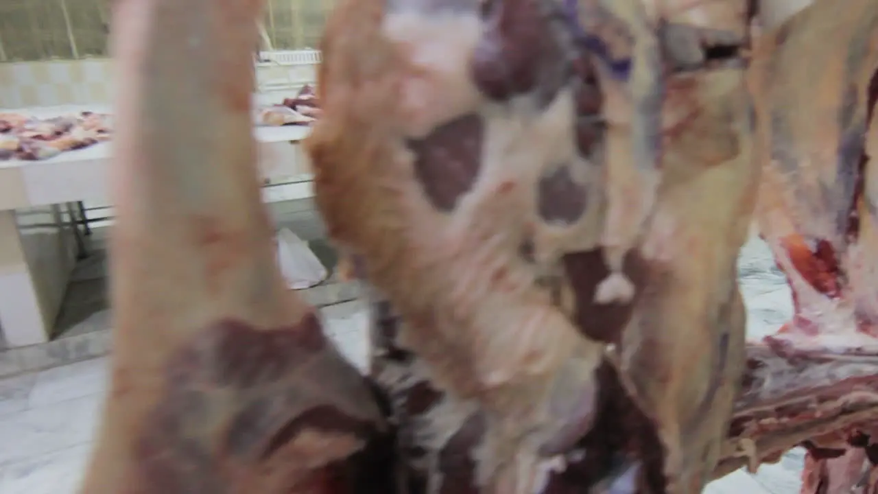 Close up panning view of a Worker at a beef processing plant and sort beef parts He covered his head