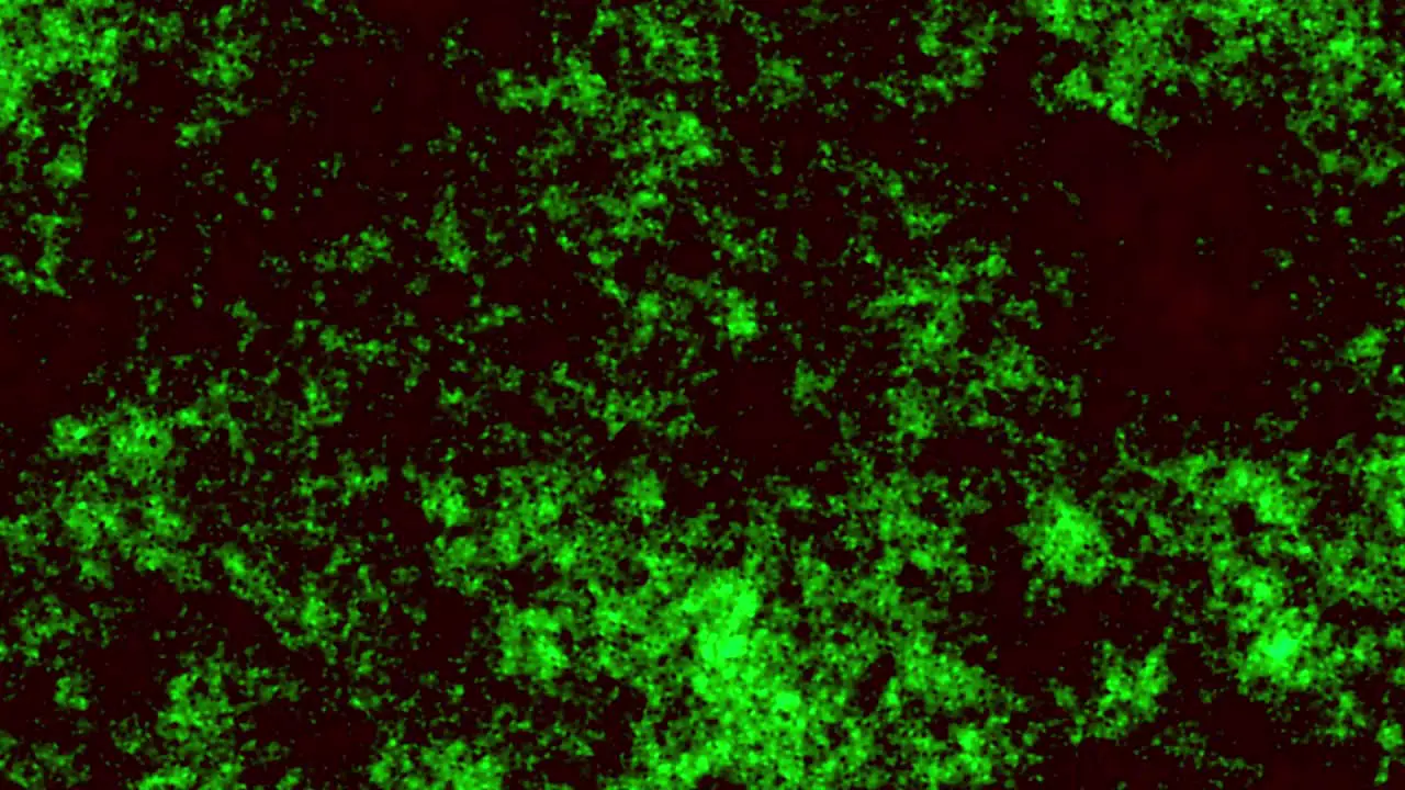 Animation of green glimmering particles on black background