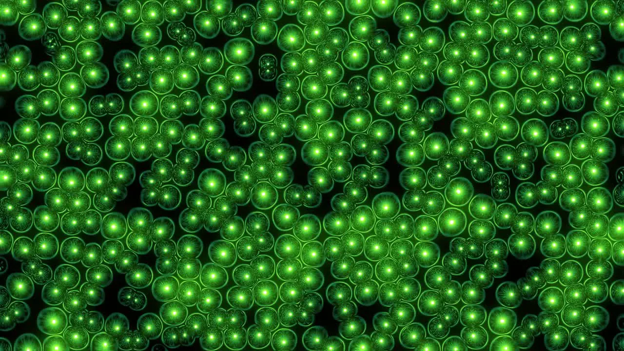 Animation of squishy undulating green cells with bright glowing nucleus