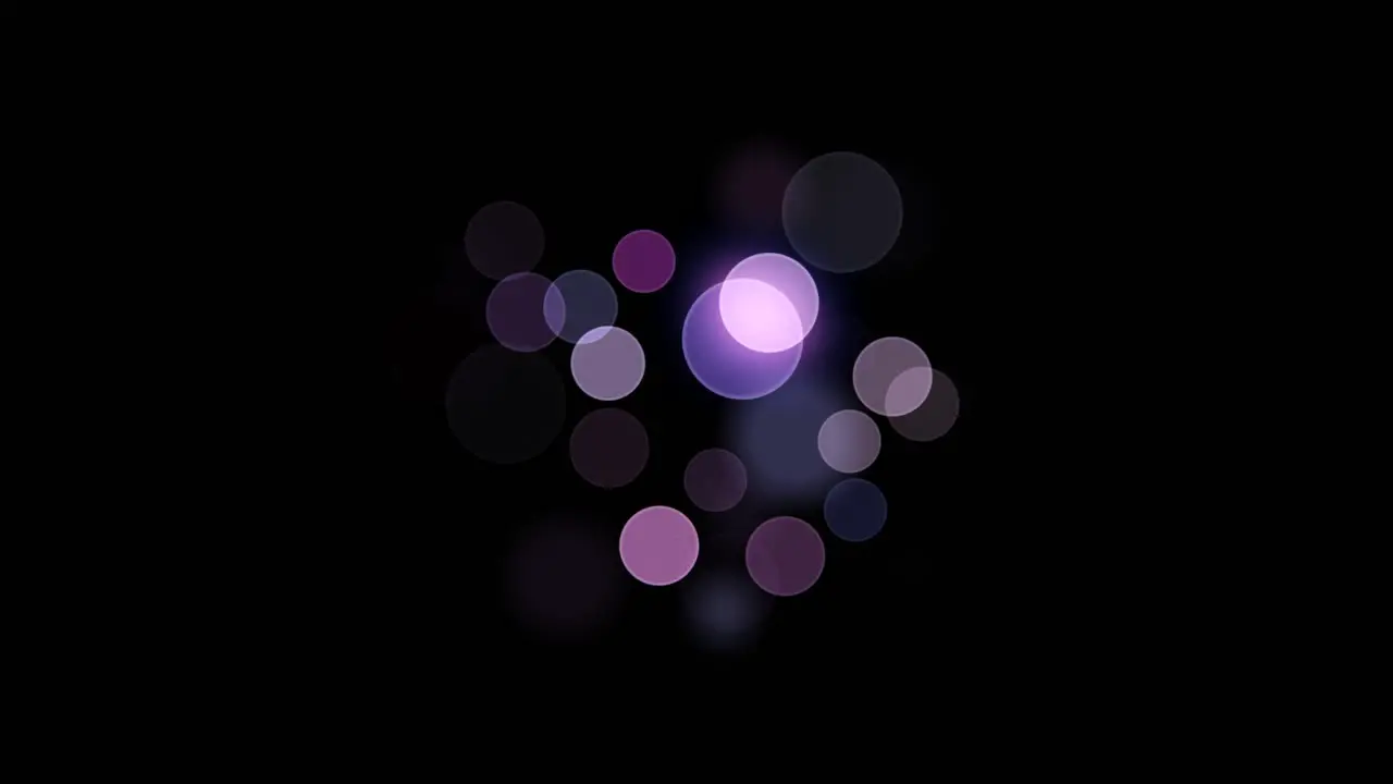 Animation of patch of bokeh pink purple lights with subtle rings