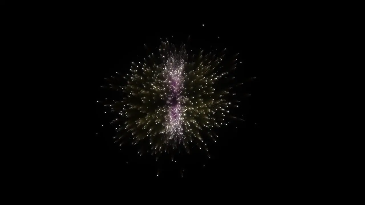 Decorative champagne fireworks exploding and glittering in the black background screen starting from center of the screen and forming double explosions