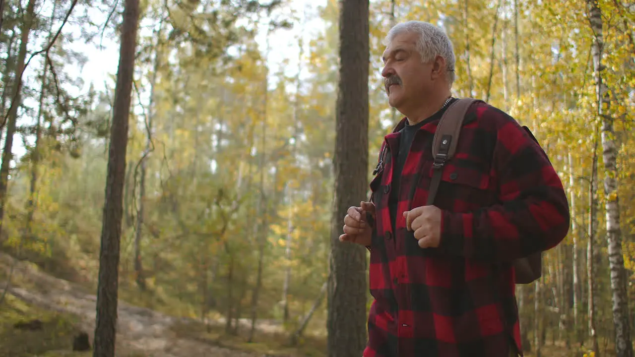 male tourist with backpack is walking alone in autumn sunny forest looking around and admiring beautiful nature