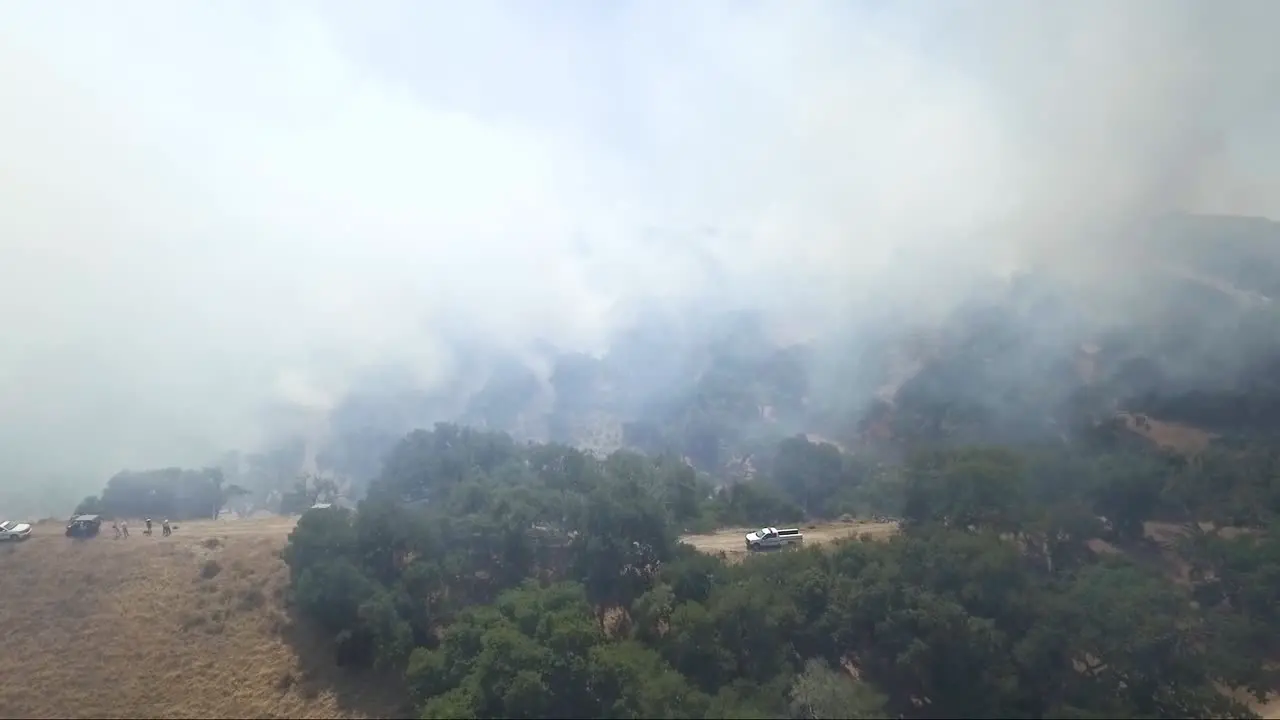 A truck sits circled by oak trees during fire