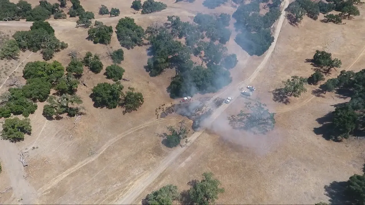 Firefighters set fire to grassland during a control burn