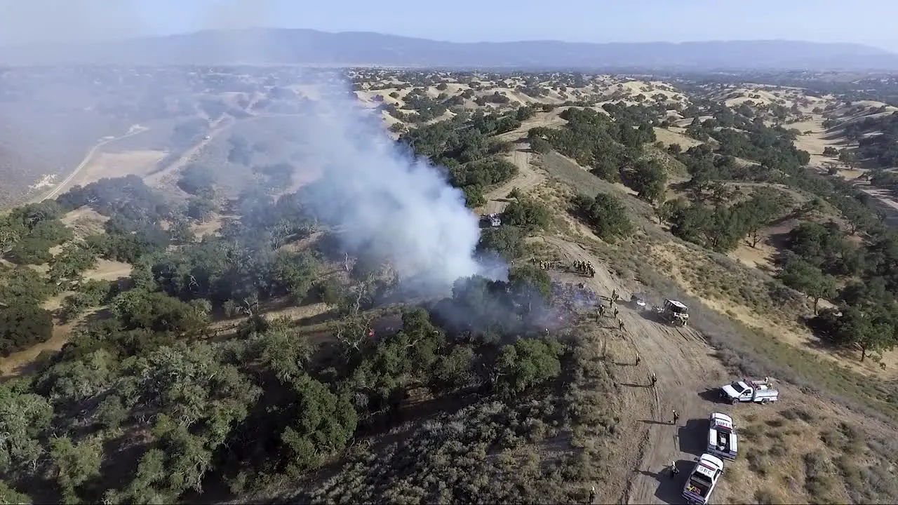 Wildfire flames hide behind the oak trees