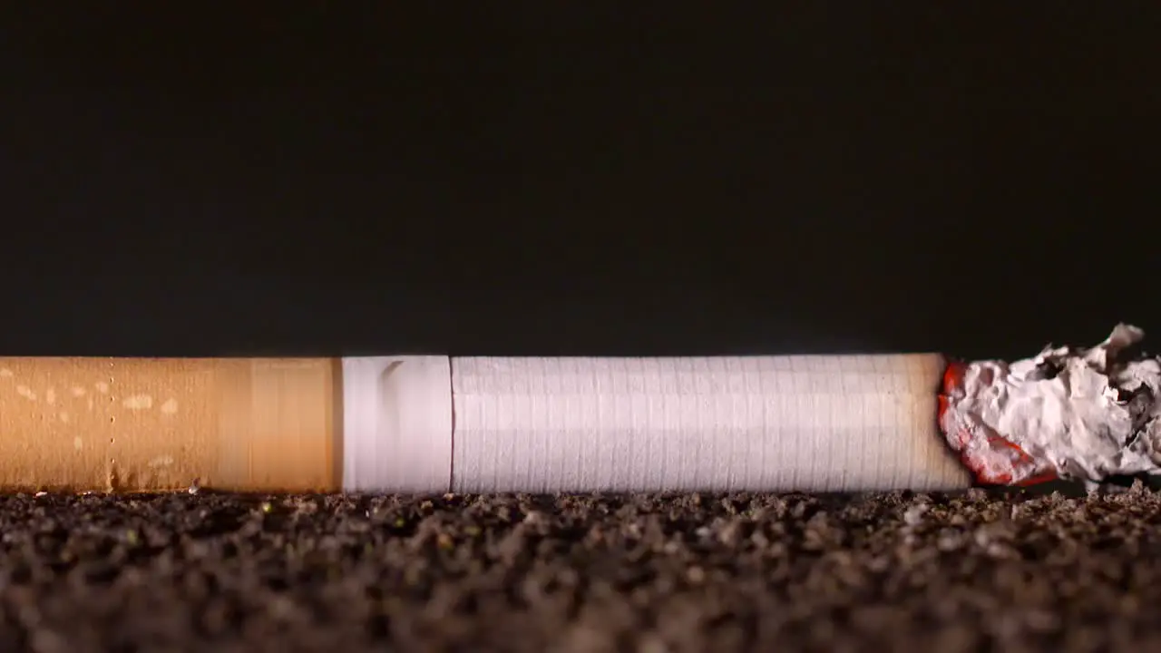 Burning Cigarette Timelapse