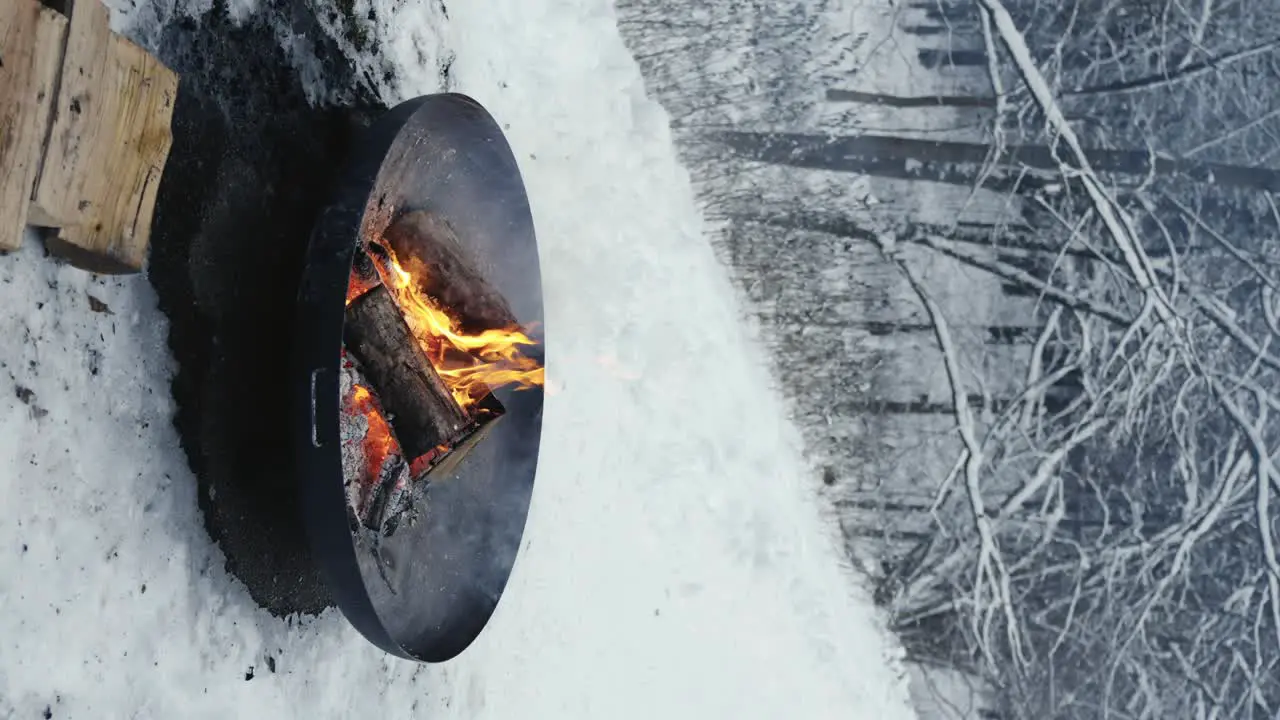 Vertical Shot Of Fire In Bowl In Rural Snowy Scene Near Frozen Trees In Winter