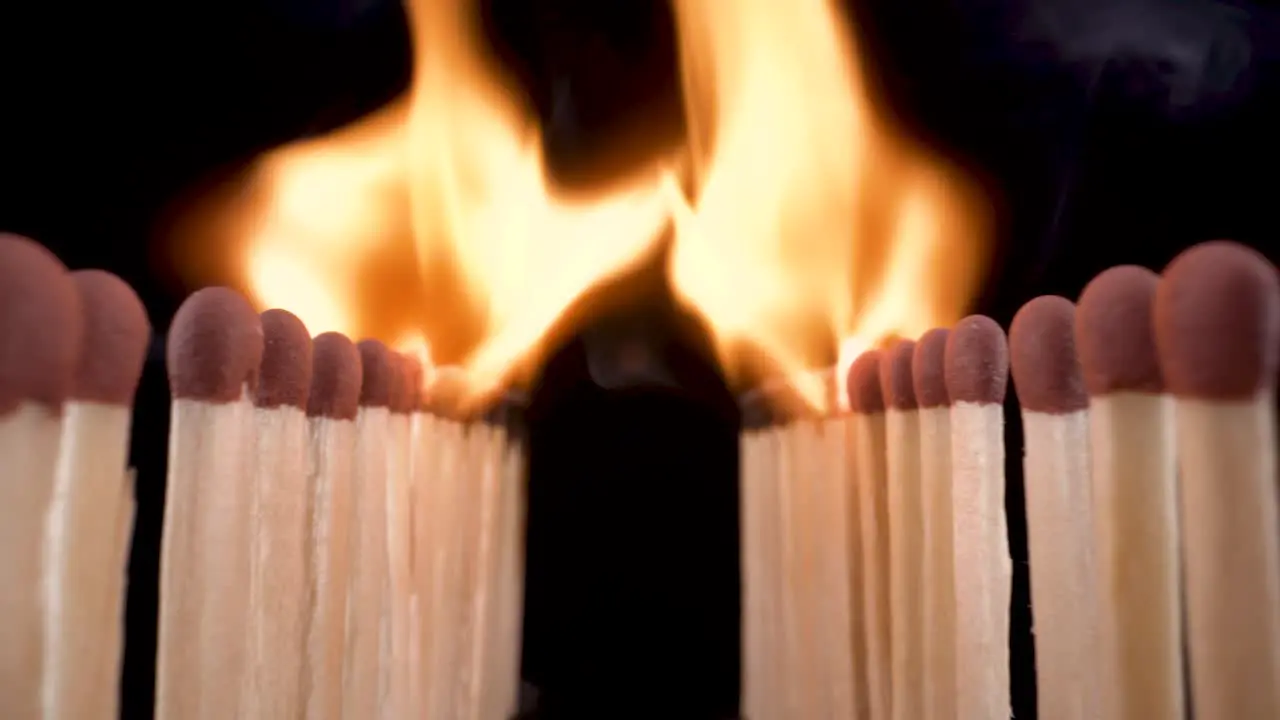 macro view flying through match sticks as they burn burning of match sticks shot on probe lens in reverse motion amazing 4k footage