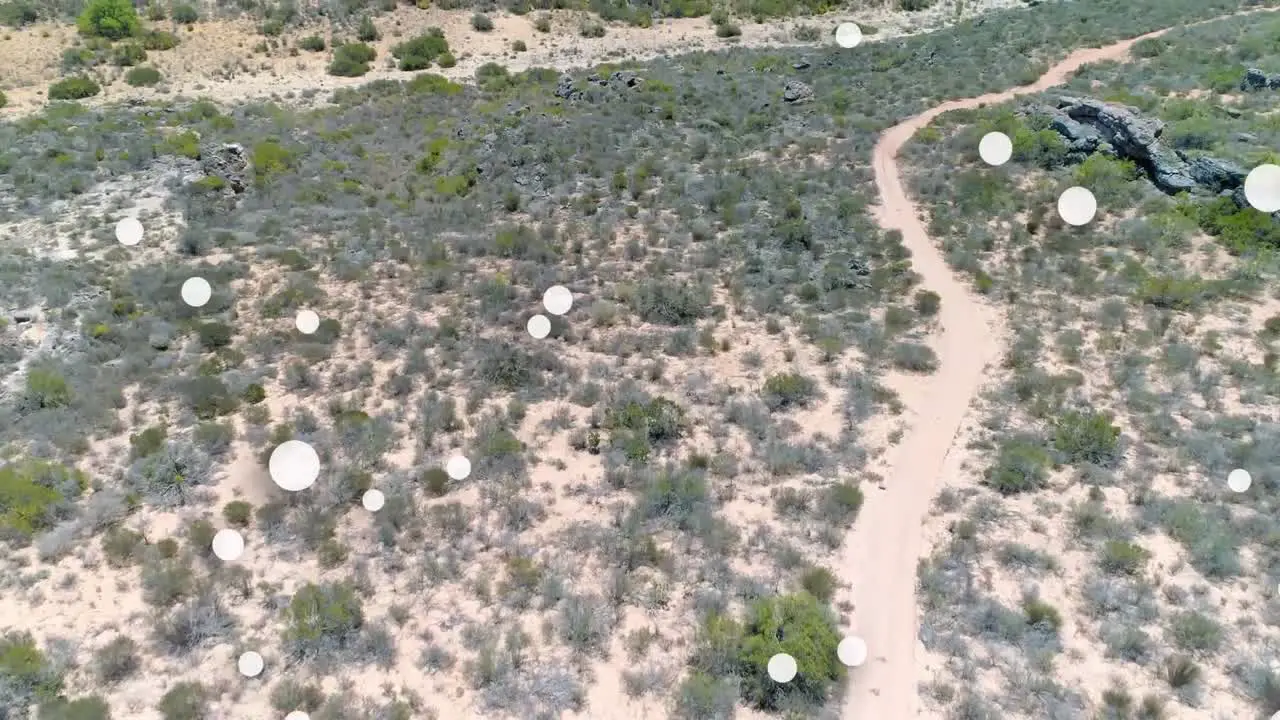 Digital composition of multiple white spots floating against against aerial view of forest path