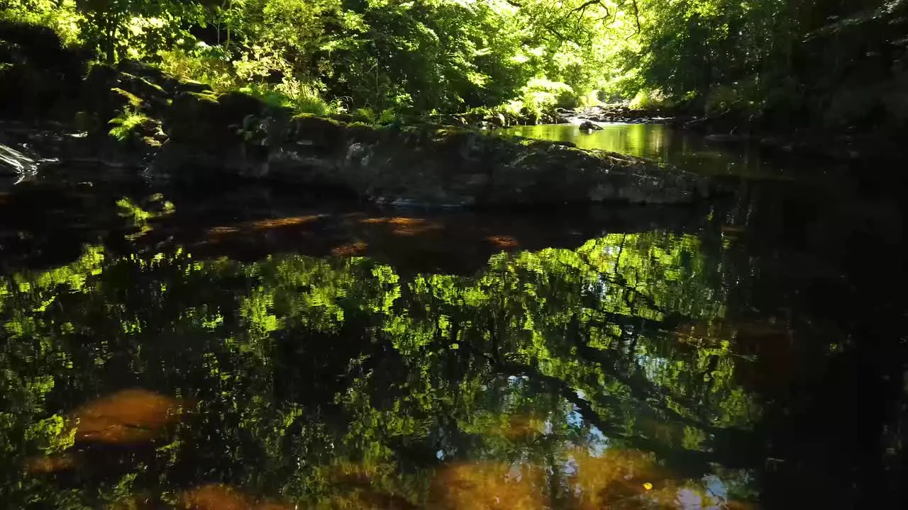 River Dart on the edge of Dartmoor National Park in England UK showing the tranquility of the river in woodlands