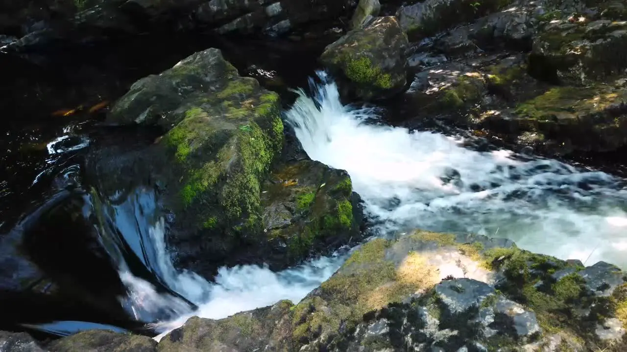 Small waterfalls on the river Dart on te edge of the Dartmoor National park England UK