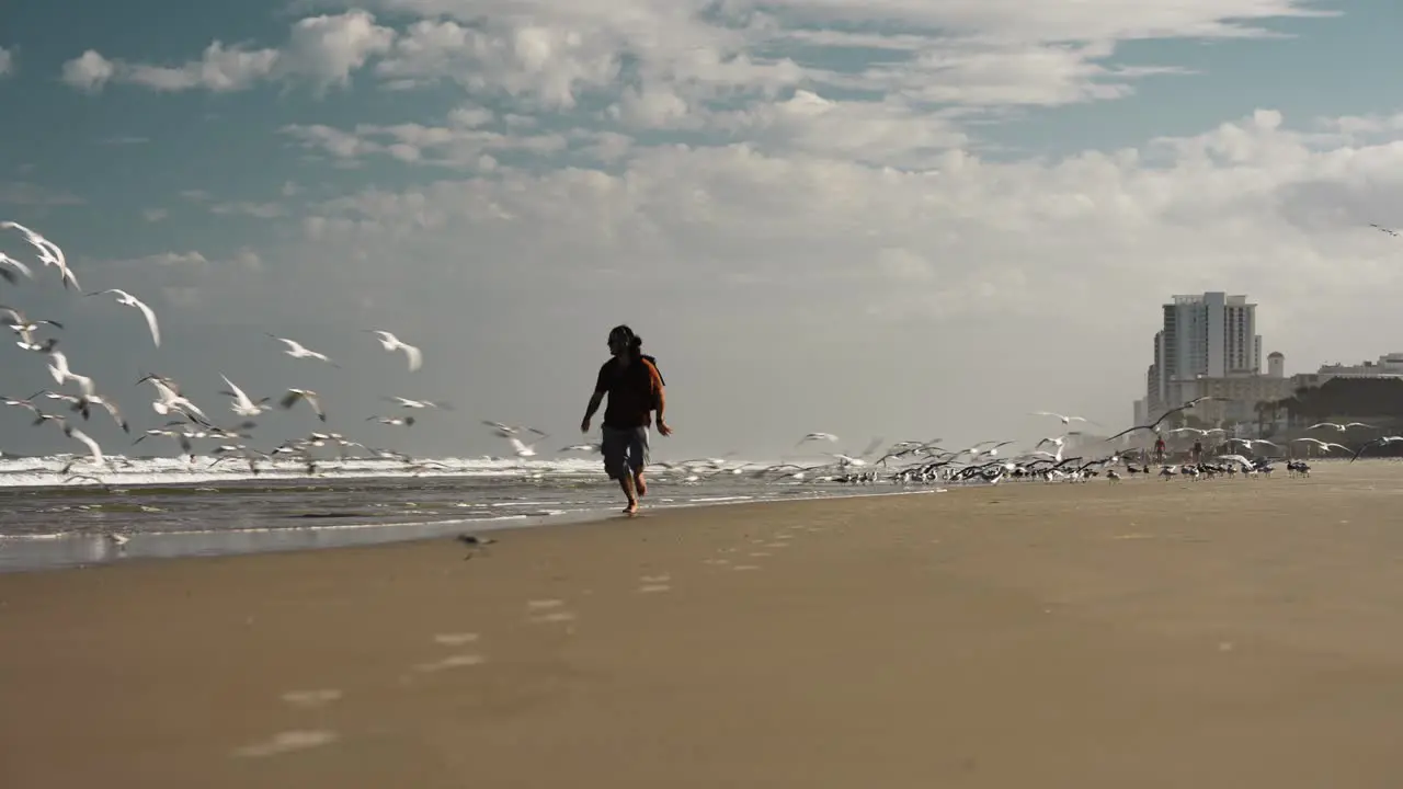 Epic scene of man running on the beach with thousands of seagulls flying