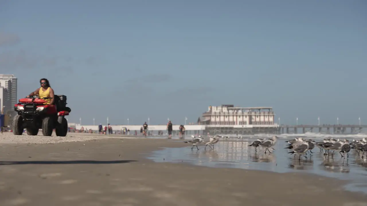 Beach with tourists enjoying the day and walking along the coast