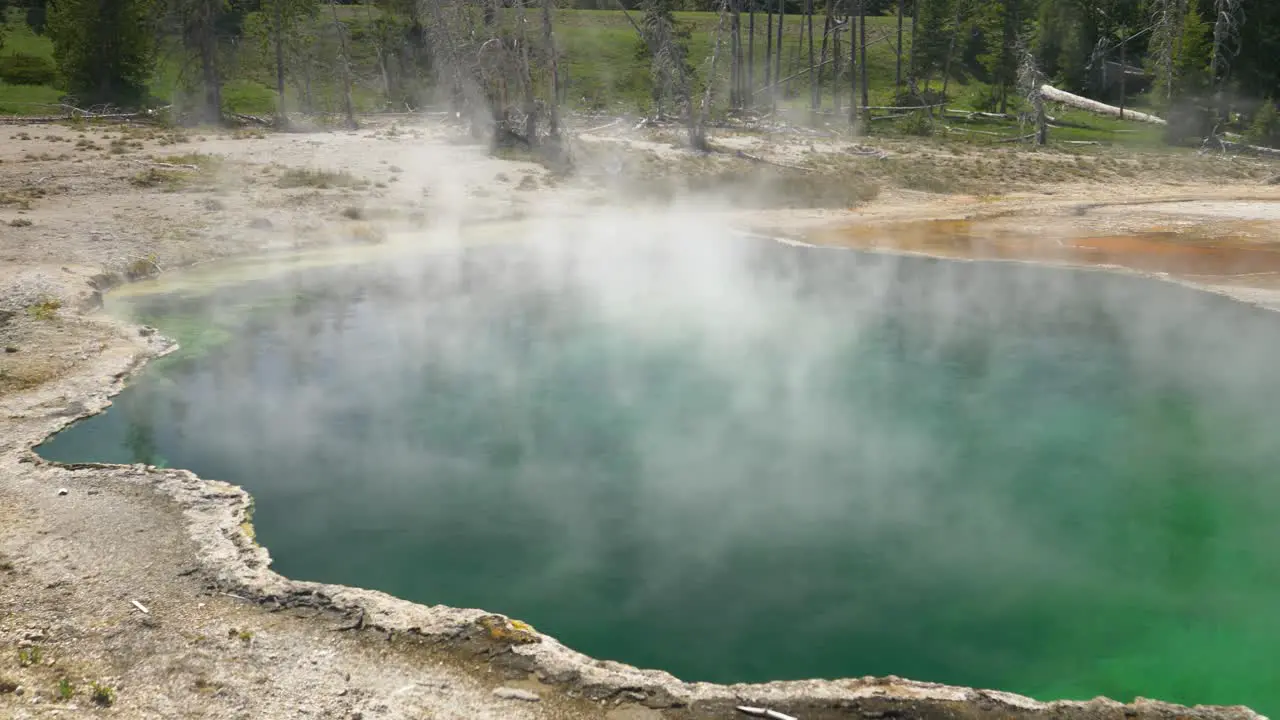 Steam rises from vibrant green geyser at Yellowstone National Park