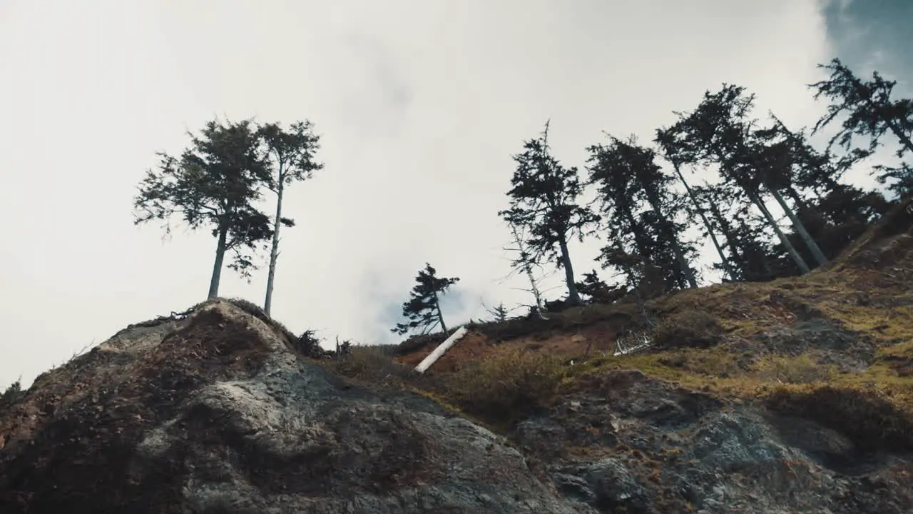 Trees on mountaintop landscape Oregon