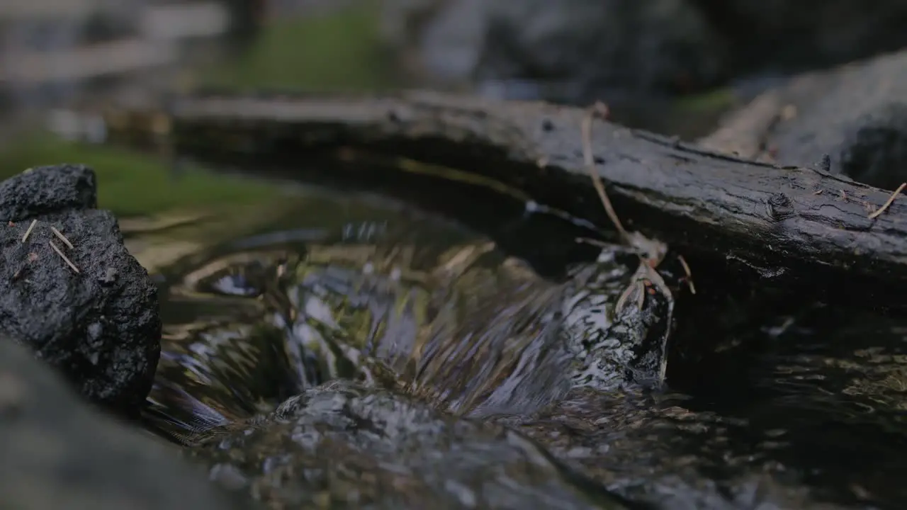 Water flowing rapidly in a close-up over rocks and a fallen branch after rainfall