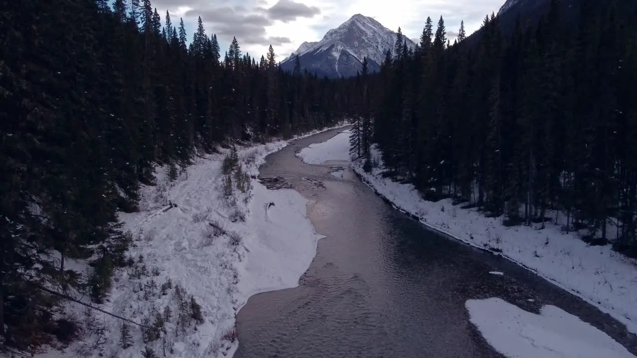 Creek and mountain in the forest winter