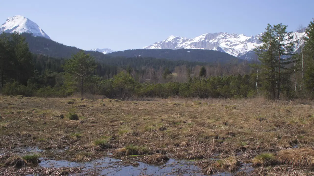 Spring landscape in austria seefeld