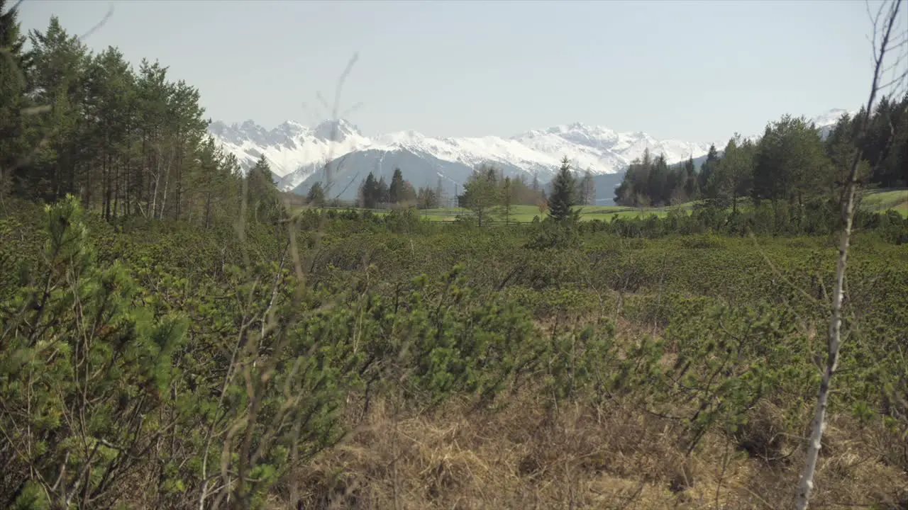 A spring landscape in austria seefeld