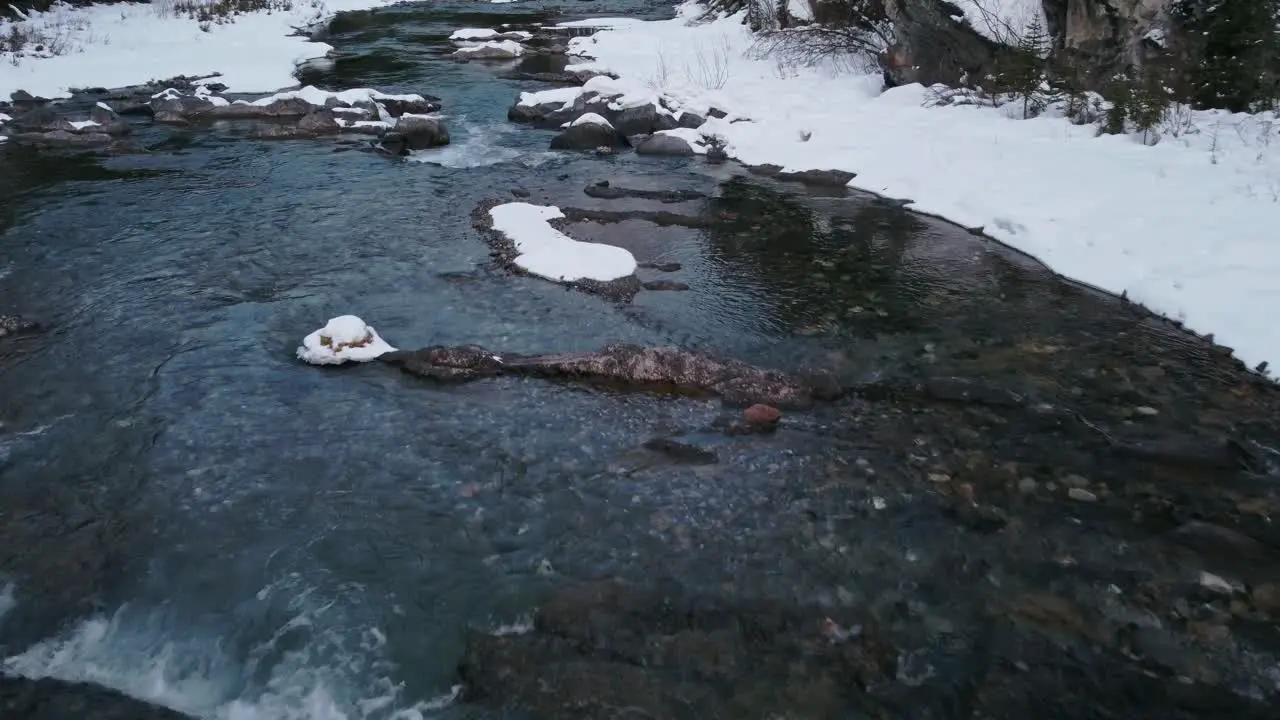 Creek in mountain forest downstream winter tilt