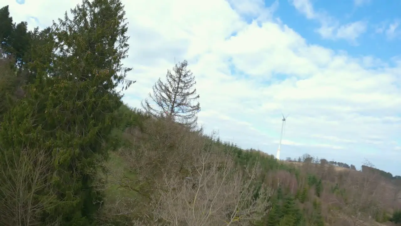 An fpv flight over a meadow and a forest