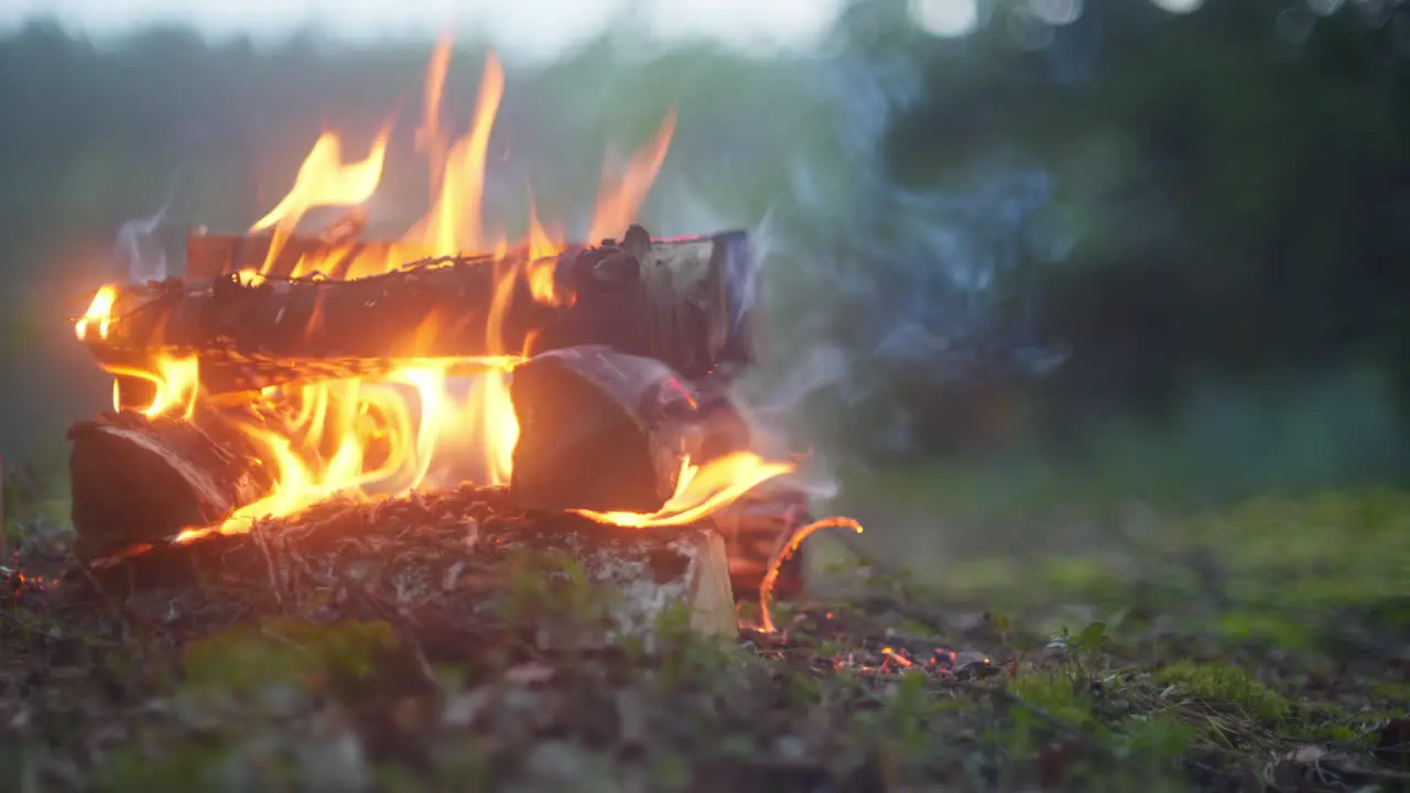 campfire in during a late night out in nature