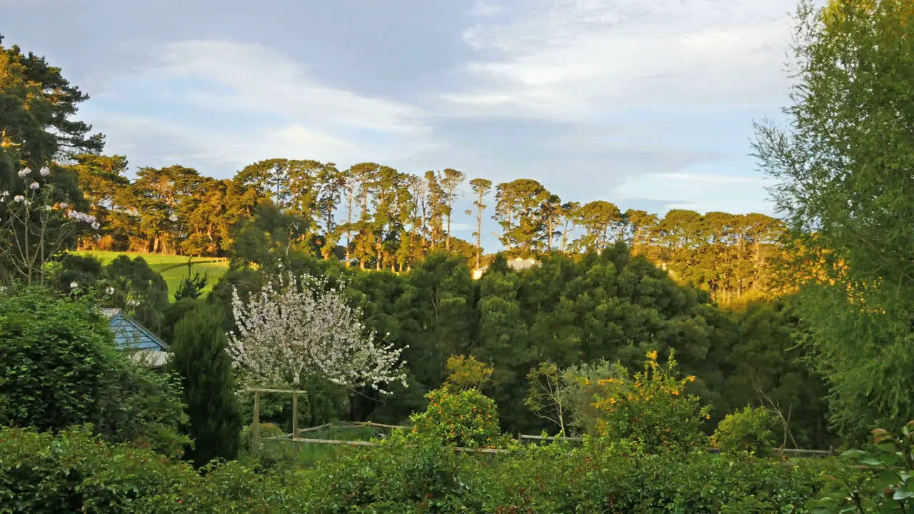 Australia Mornington Peninsula View