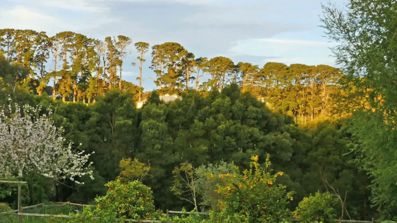 Australia Mornington Penninsula View Pan