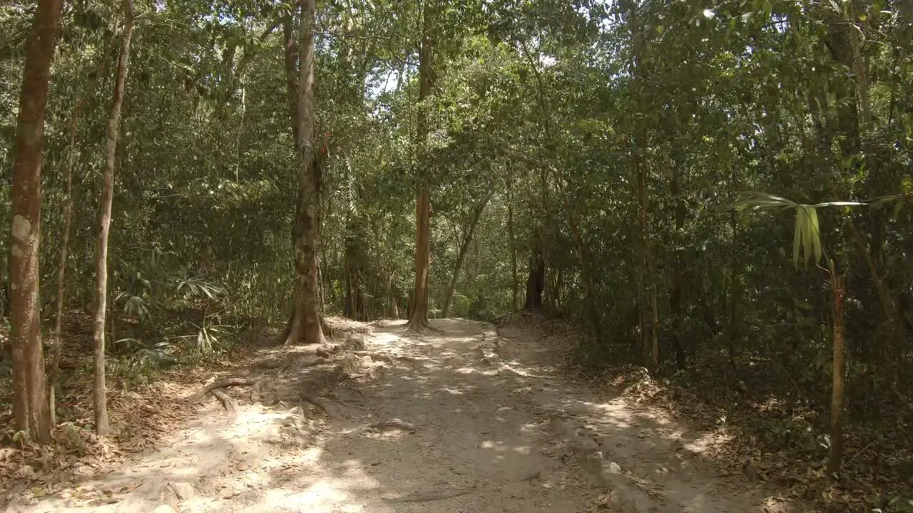 Mayan ruins at Tikal in Guatemala