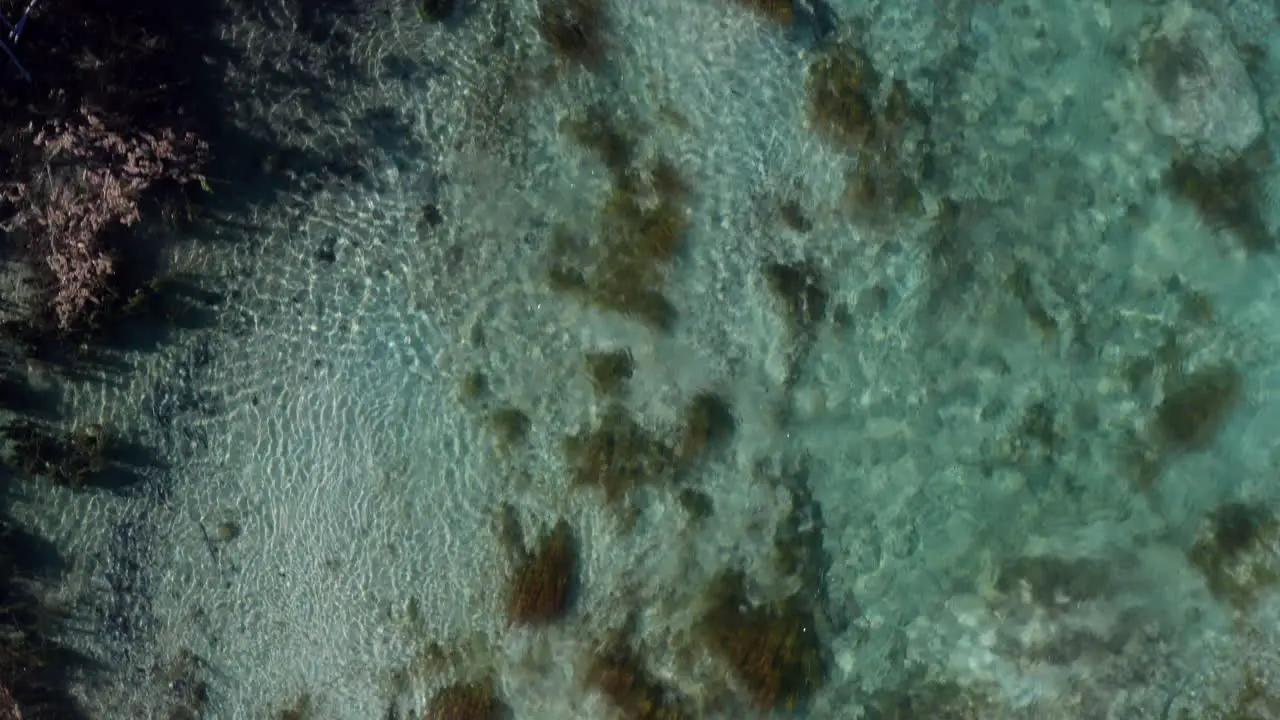 Top down aerial shot of tropical river flowing in Bacalar Mexico