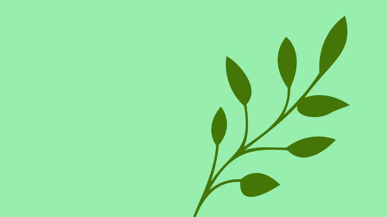 Animation of green leaves with copy space on green background