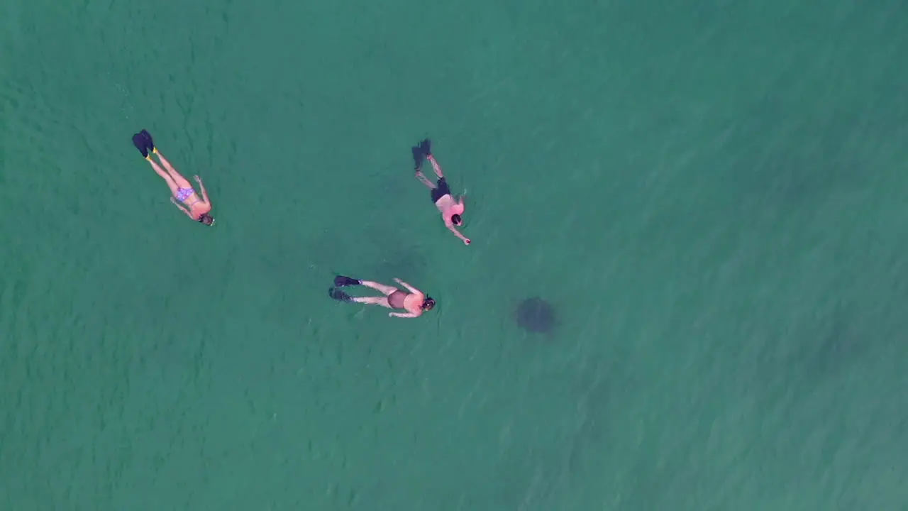 wide shot of 3 people snorkeling with in the Indian Ocean off Madagascar