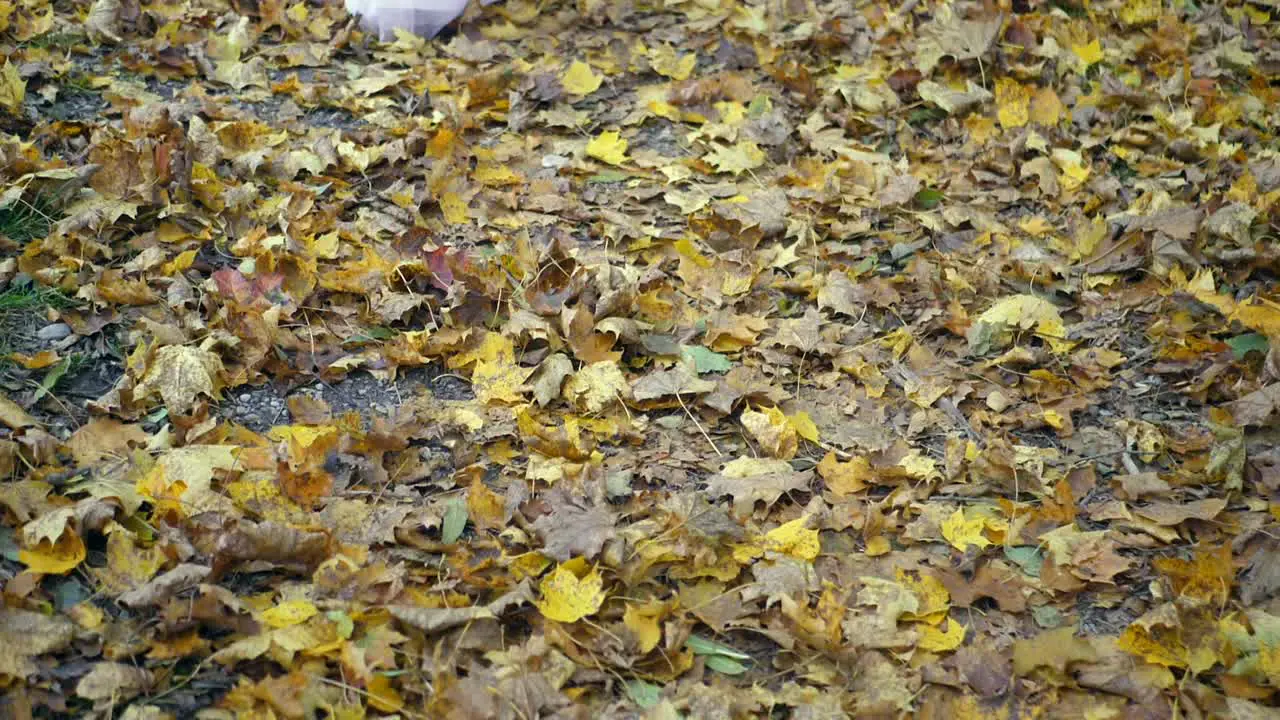 Woman in white dress walking in nature