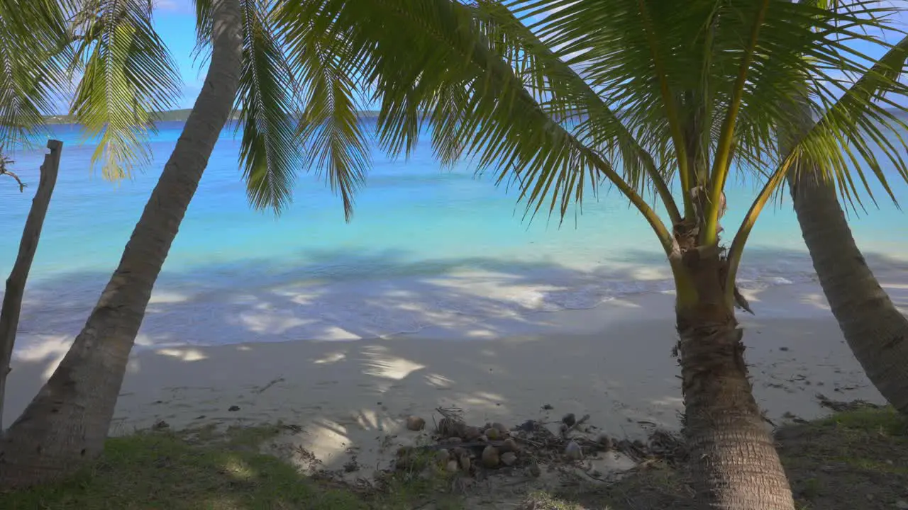 Tropical paradise beach viewed from under coconut trees in slow motion on a sunny day