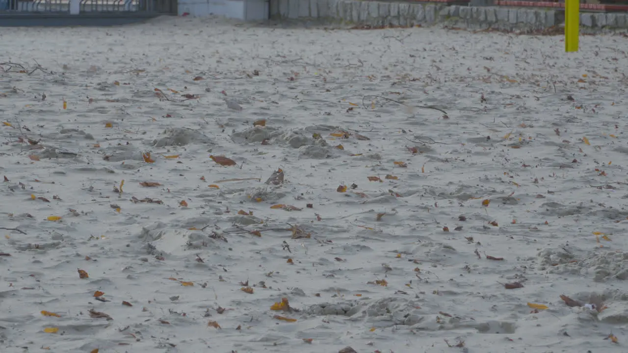 Brown Dried Leaves Being Blown Over Sandy Beach