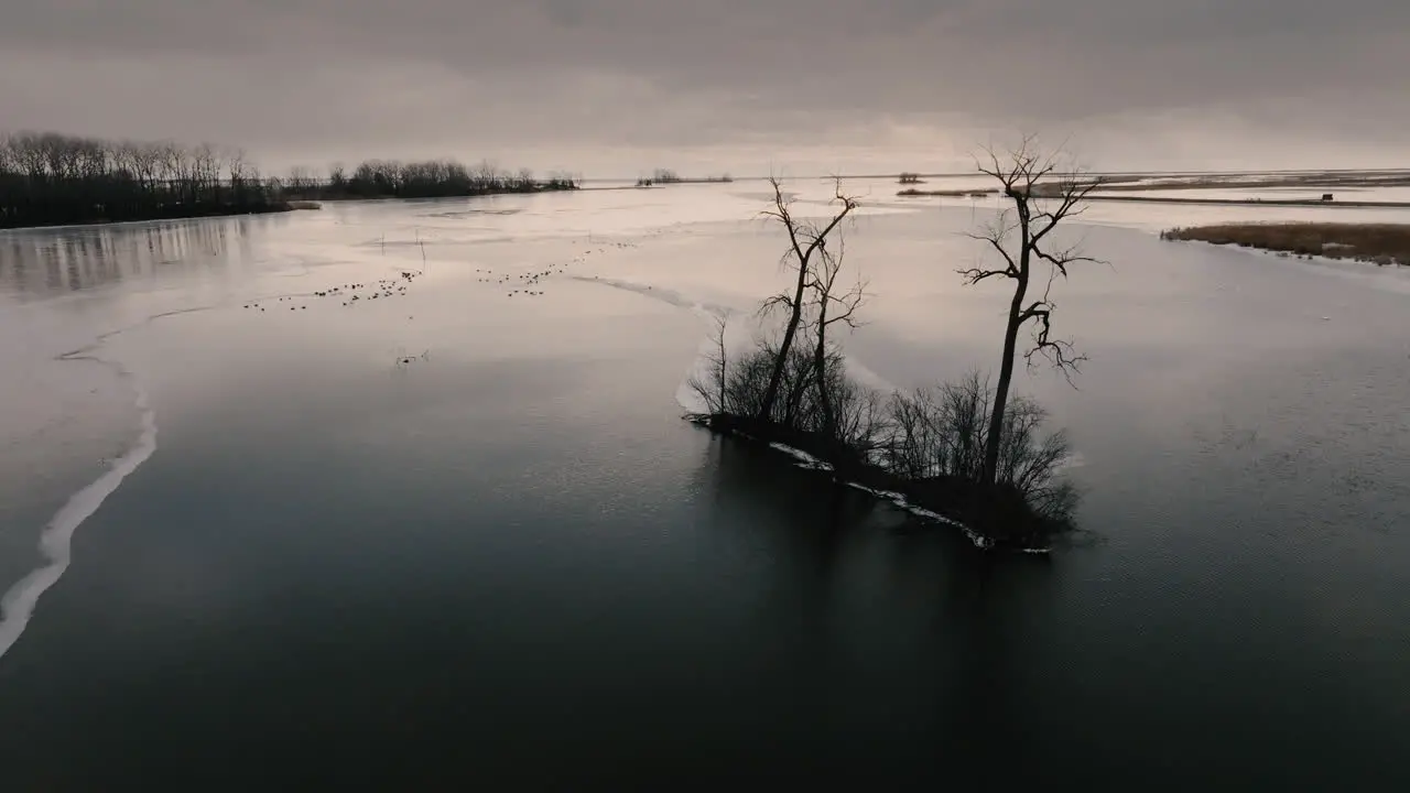 Drone shot of frozen lake Eire in winter at sunrise