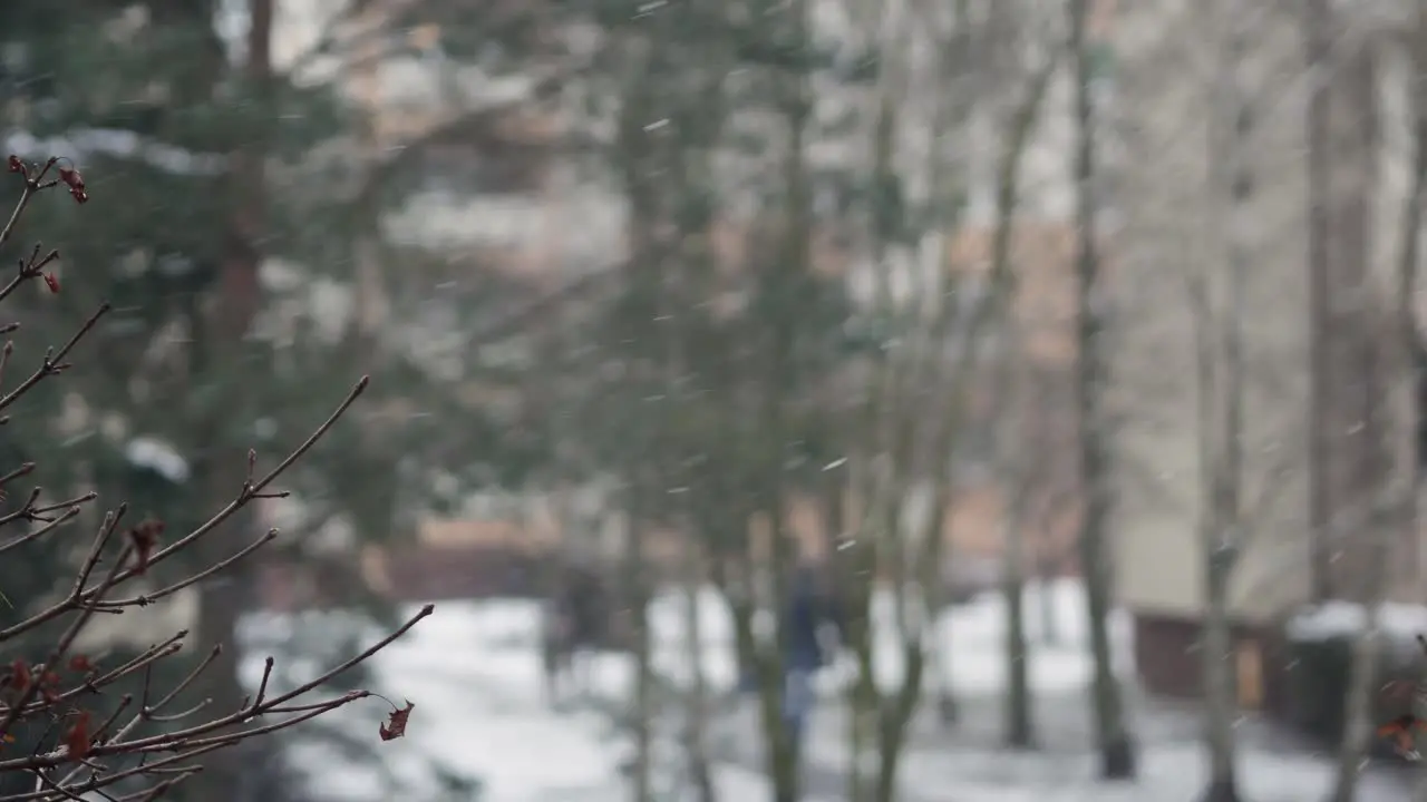 People walking outside in bad weather condition winter time